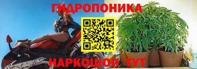 ПСИЛОЦИБИНОВЫЕ ГРИБЫ Малоярославец