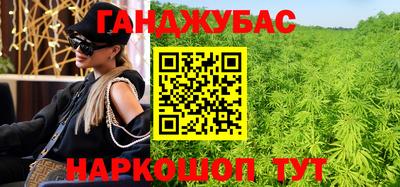 индика Мариинск
